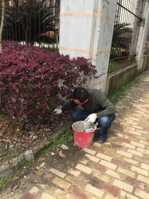 控制鼠害、预防疾病，，，，，，构建协调文明社区_庄闲游戏