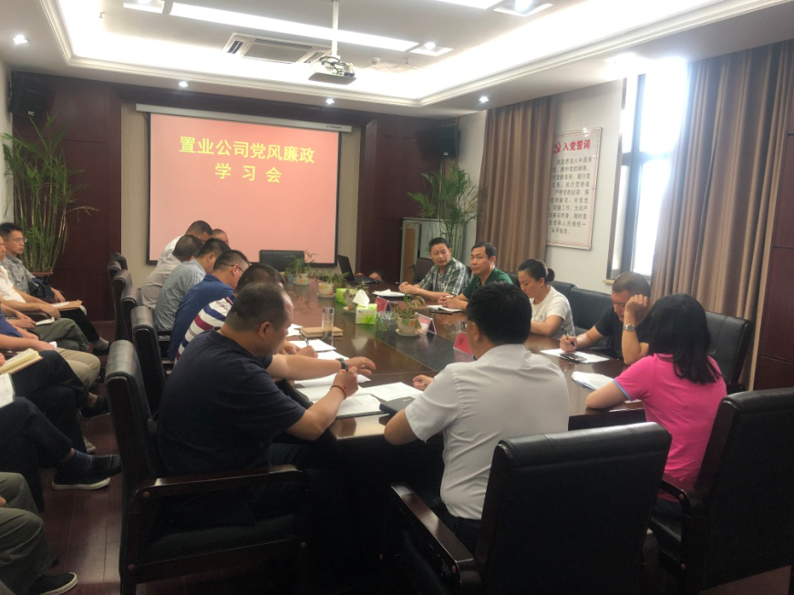 置业公司召开党风廉政学习会_庄闲游戏