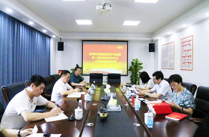 集团公司党史学习教育巡回指导组划分到各下层单位调研督导_庄闲游戏