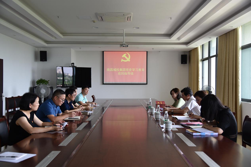 集团公司党史学习教育巡回指导组划分到各下层单位调研督导_庄闲游戏