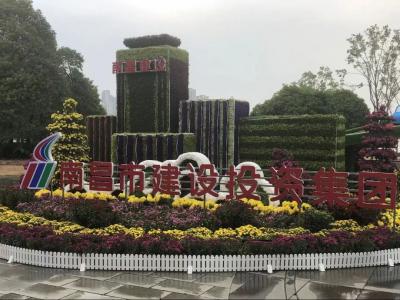 以菊为媒 以花为介 展现效劳都会与生长之宗旨——市庄闲游戏集团参展南昌市第三十四届菊花展
